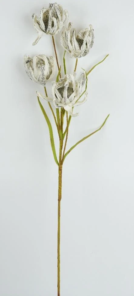 Streptophylla X 4Flr Foam Flower Stick
